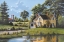 Picture of YELLOW HOUSE