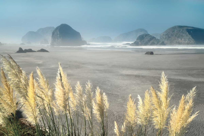 Picture of PAMPAS BEACH