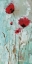 Picture of SPLASH POPPIES II