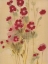 Picture of CRIMSON ELEGANCE