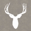 Picture of BUCK II