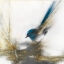 Picture of LITTLE BLUE I