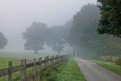 Picture of COUNTRY RIDE