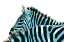 Picture of STRIPED PAIR