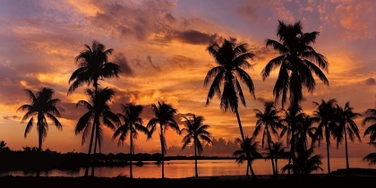 Picture of TROPICAL SUNSETS I