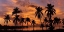 Picture of TROPICAL SUNSETS I