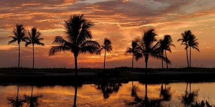 Picture of TROPICAL SUNSETS II