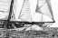 Picture of FREE SAILING