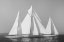 Picture of SAILING TOGETHER