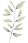 Picture of LULU II