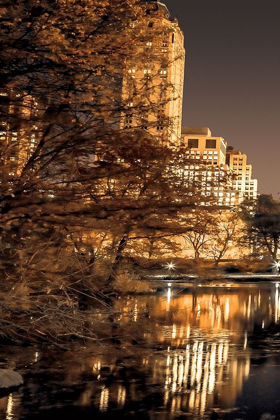 Picture of CENTRAL PARK GLOW I