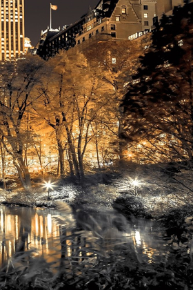 Picture of CENTRAL PARK GLOW III