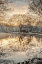 Picture of FROSTY MORNING II