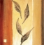 Picture of LEAF INNUENDO I