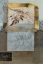 Picture of NATURE LEAF I