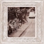 Picture of BICYCLE