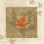 Picture of MAPLE