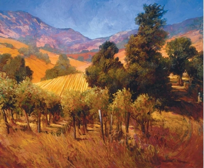 Picture of SOUTHERN VINEYARD HILLSIDE