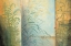 Picture of FERNS AND GRASSES