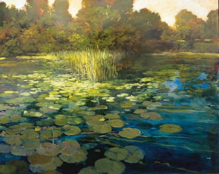 Picture of WATERLILIES