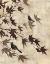 Picture of MAPLE CHORUS I