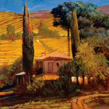 Picture of TUSCAN MORNING LIGHT