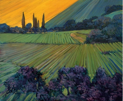 Picture of CHAMPAGNE VINEYARDS