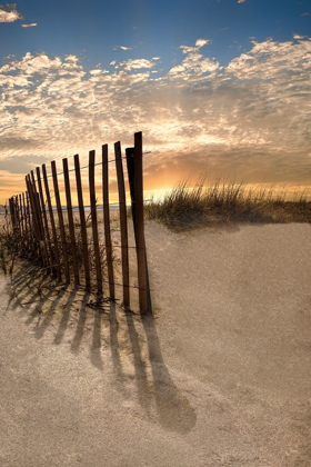 Picture of DUNE FENCE AT SUNRISE