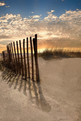Picture of DUNE FENCE AT SUNRISE