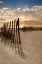 Picture of DUNE FENCE AT SUNRISE