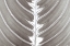 Picture of NATURES BEAUTY