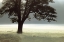 Picture of ENLIGHTEN ME