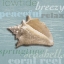 Picture of BEACH COLLECTION IV
