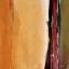 Picture of SOLAR EMISSION II