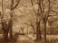 Picture of SMOKIES ROAD