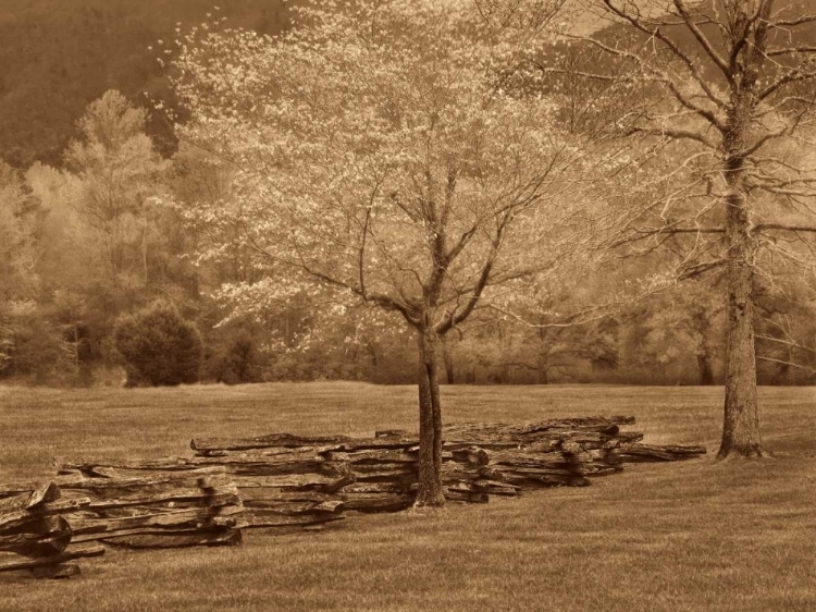 Picture of SMOKIES FENCE