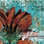 Picture of GRAFFITI GERBERA