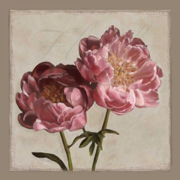 Picture of BOTANICAL PEONY