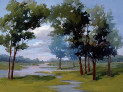 Picture of WANDERING WATER