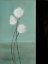 Picture of AQUA BREEZE II