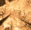 Picture of EPIPHANY I