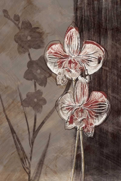 Picture of ORCHID SKETCH I