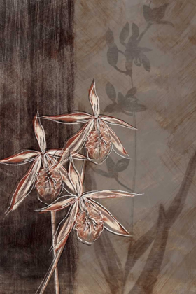 Picture of ORCHID SKETCH II