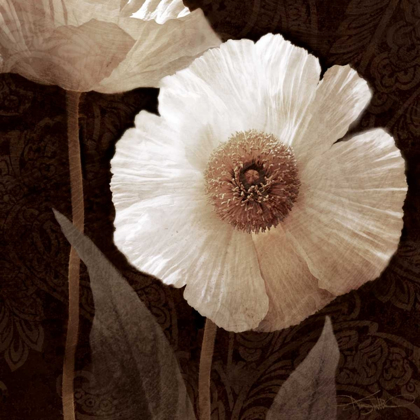 Picture of PAISLEY POPPY II