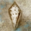 Picture of OCEAN TREASURE