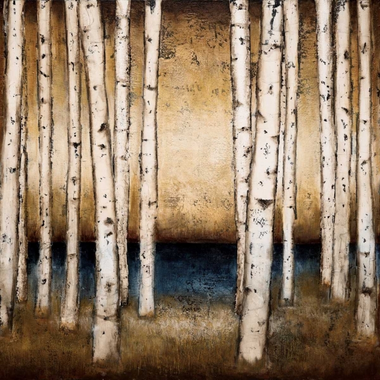 Picture of BIRCH LANDING
