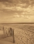Picture of SAND ESCAPE