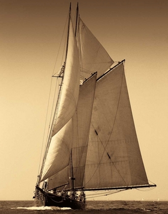 Picture of UNDER SAIL I