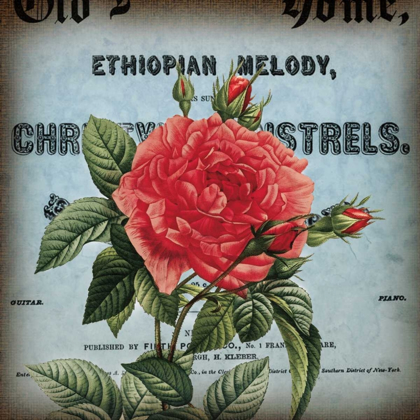 Picture of PETITE ROSE II