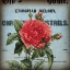 Picture of PETITE ROSE II